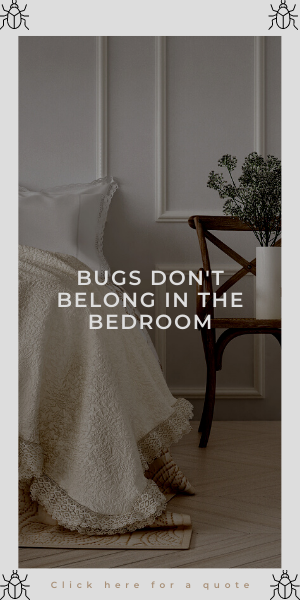 Bed bug pest control